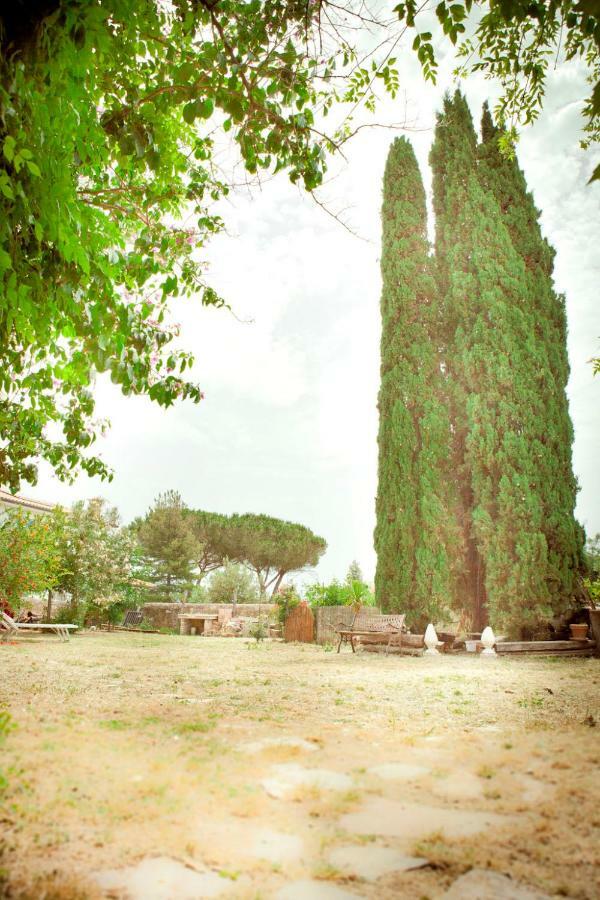 Il Pievano B&B Campiglia Marittima Ngoại thất bức ảnh